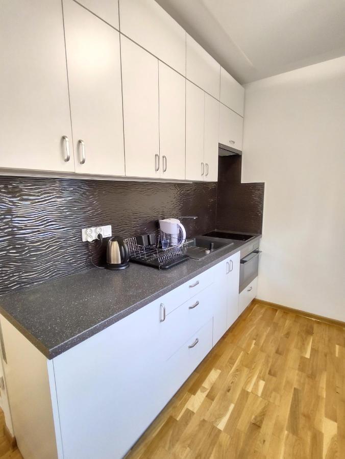 Apartament Pod Zamkiem 노비 삭츠 외부 사진